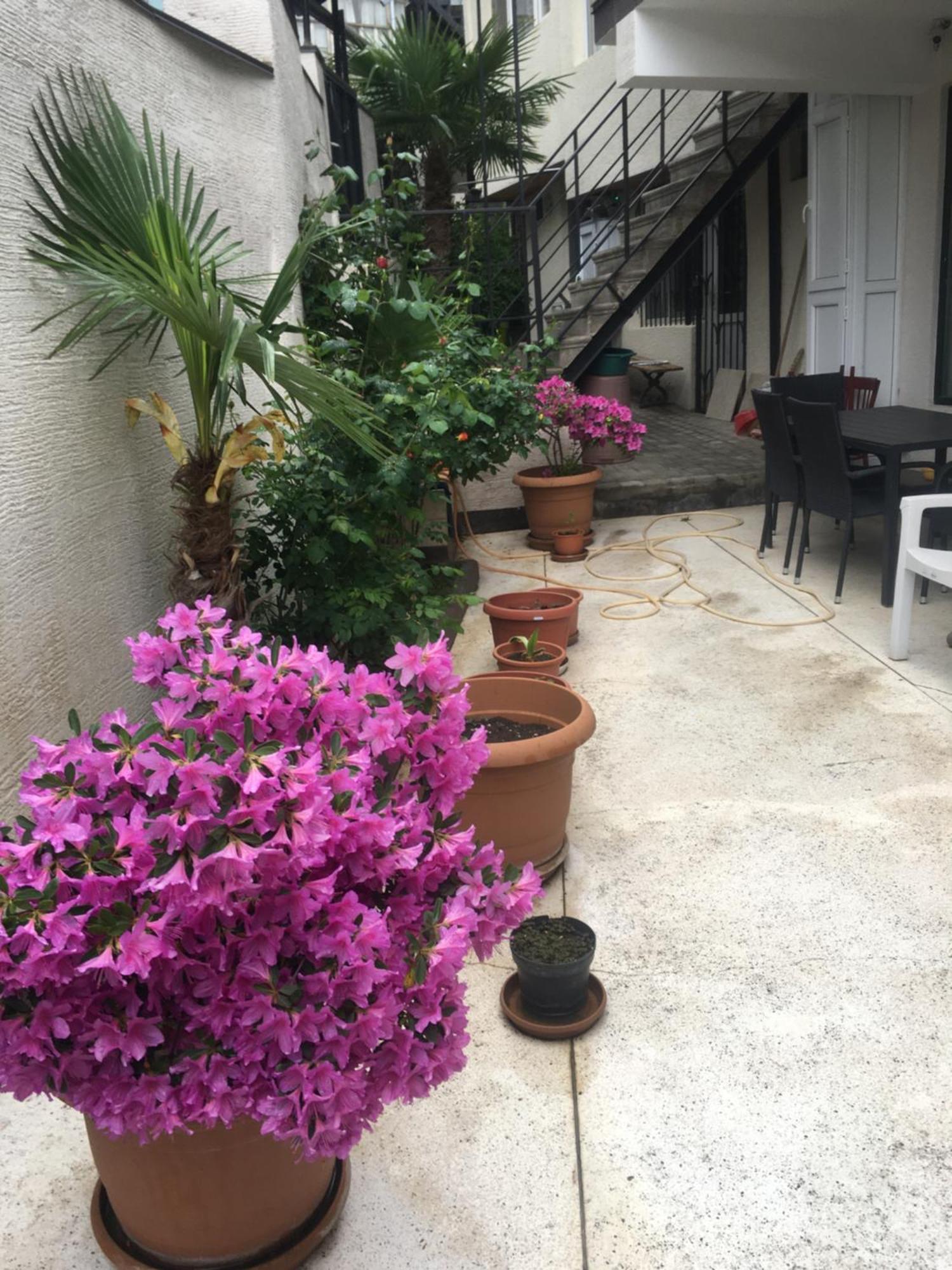 Appartement 10 Shindisi Street,Tbilissi Extérieur photo