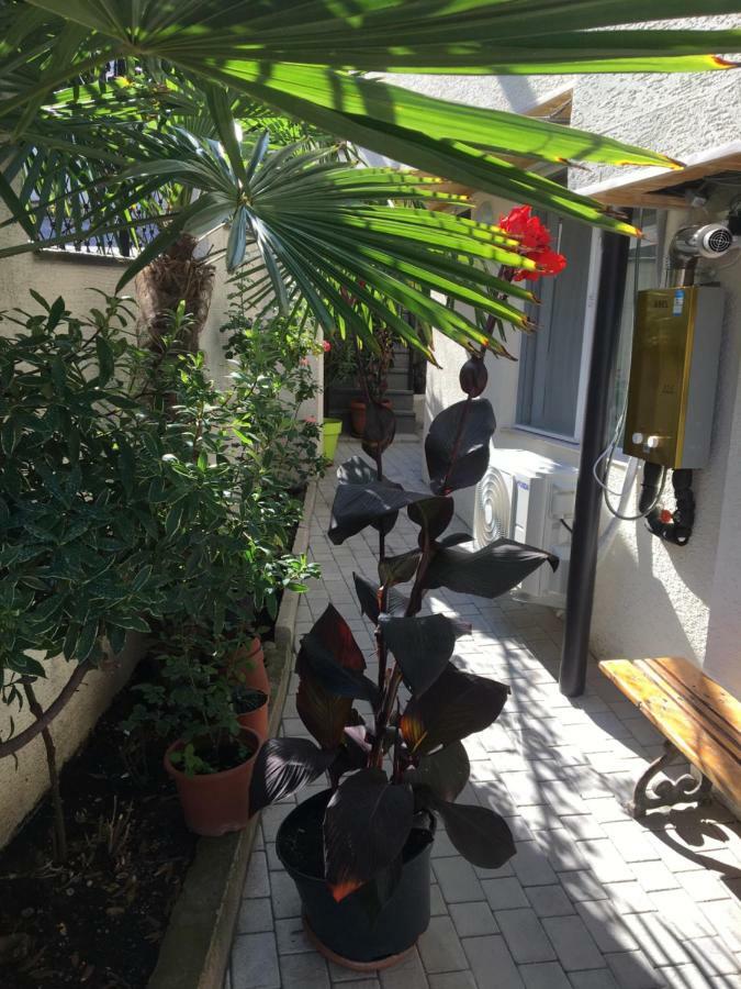 Appartement 10 Shindisi Street,Tbilissi Extérieur photo